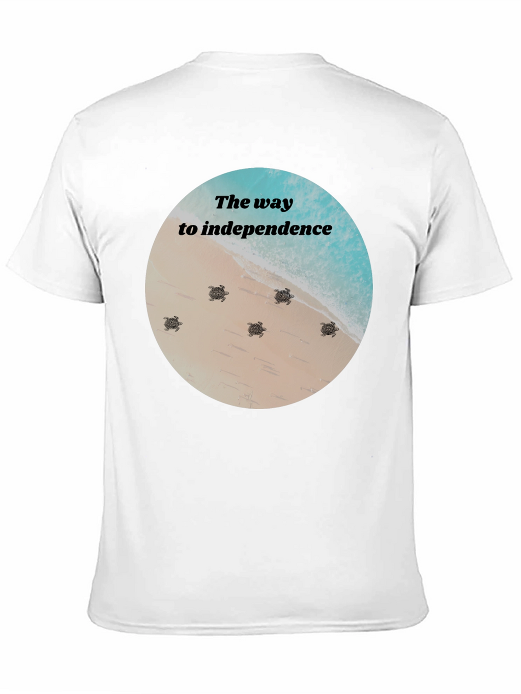 Independence Turtles Graphic Tee