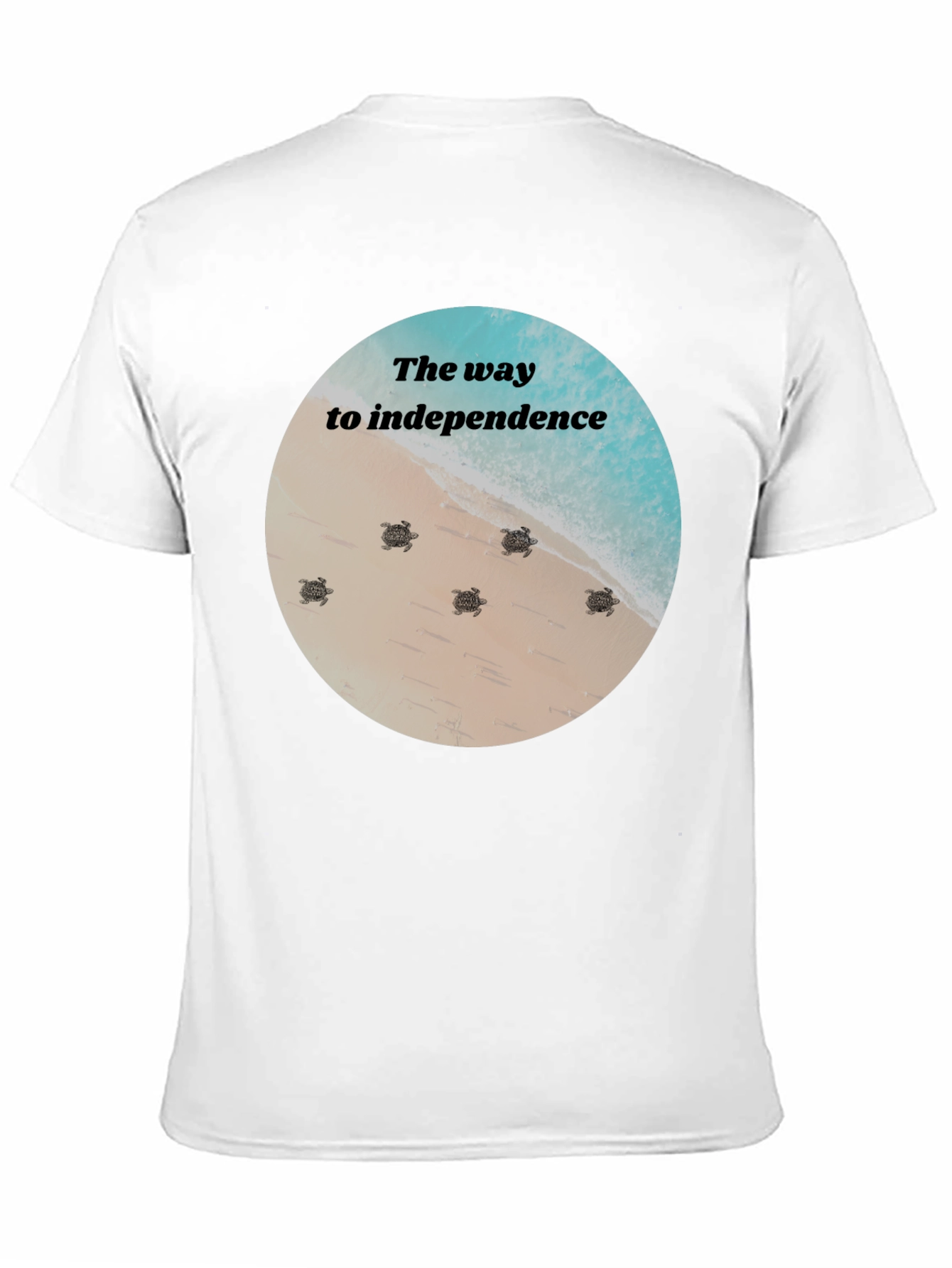 Independence Turtles Graphic Tee
