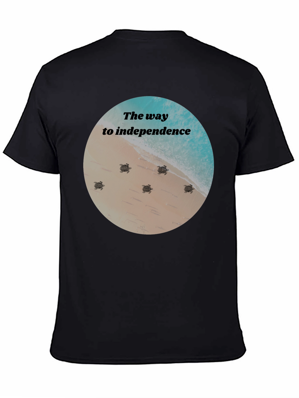 Independence Turtles Graphic Tee