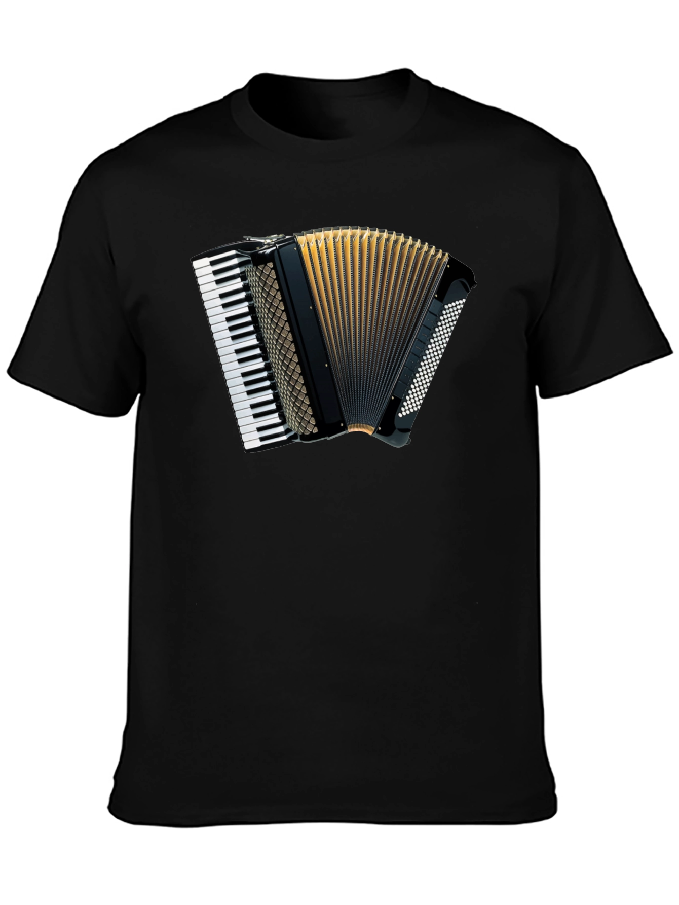 Accordion Graphic Tee - Musical Style
