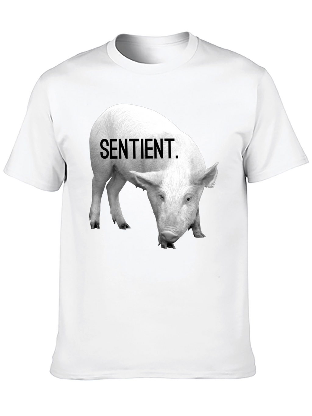 Sentient Pig Graphic Tee - Vegan Activism Shirt