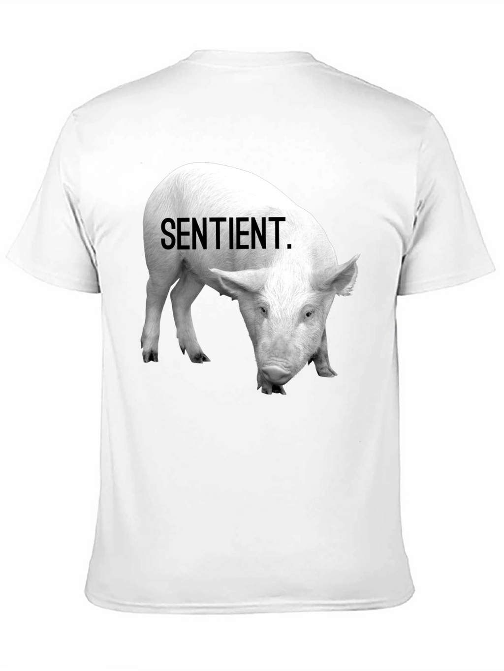 Sentient Pig Graphic Tee - Vegan Activism Shirt