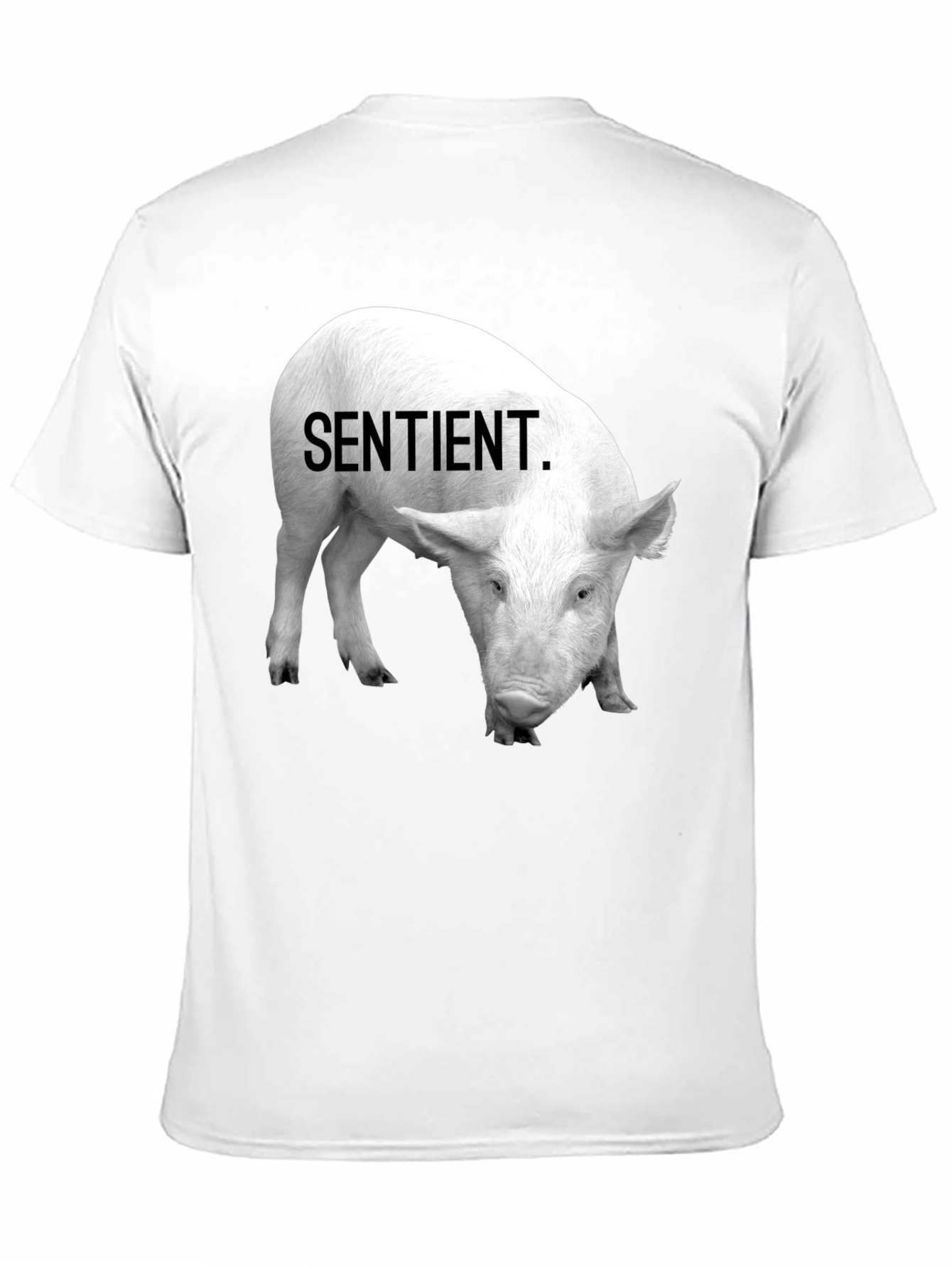 Sentient Pig Graphic Tee - Vegan Activism Shirt