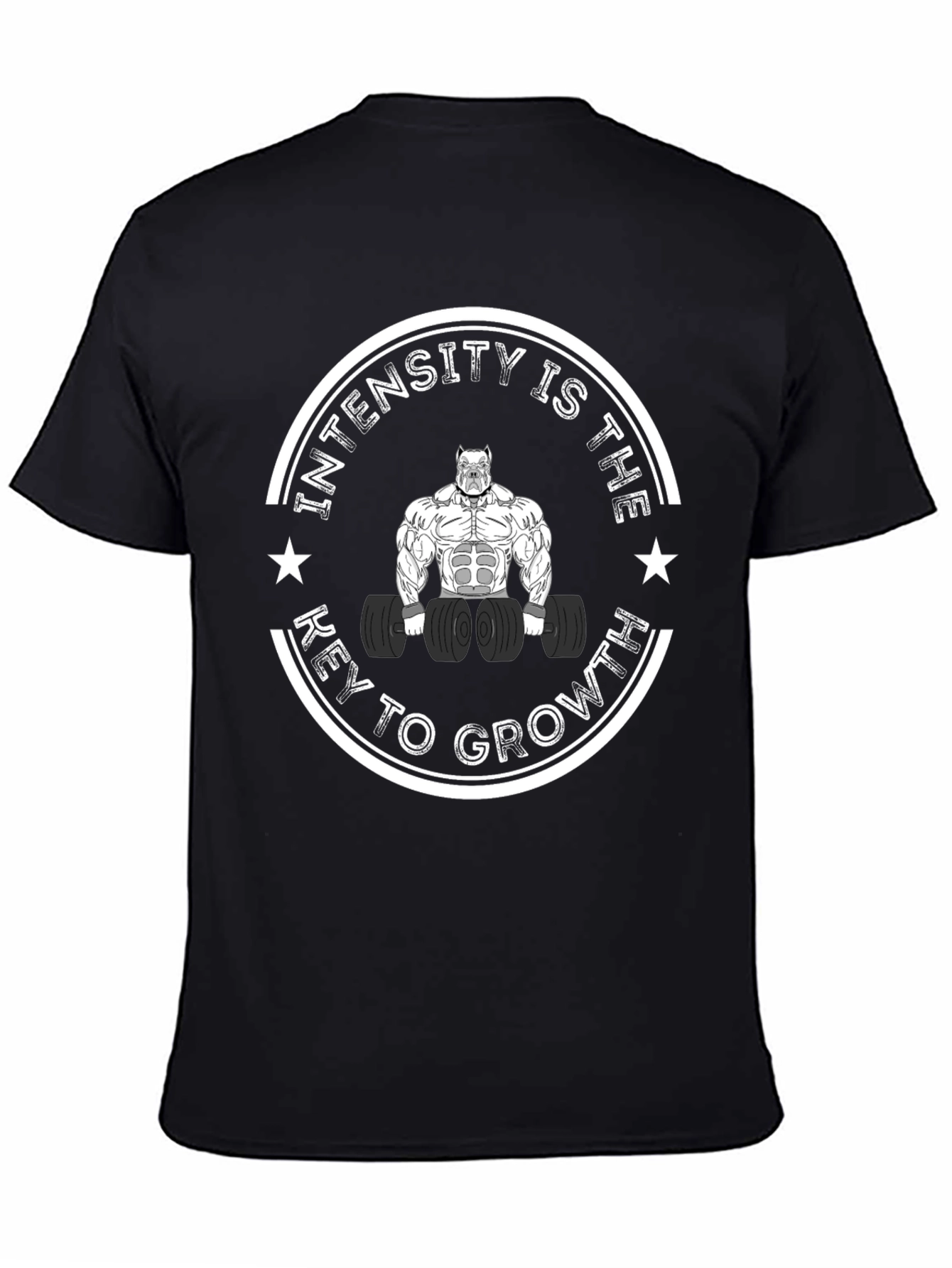 Intensity is Key T-Shirt - Mens Fitness Apparel