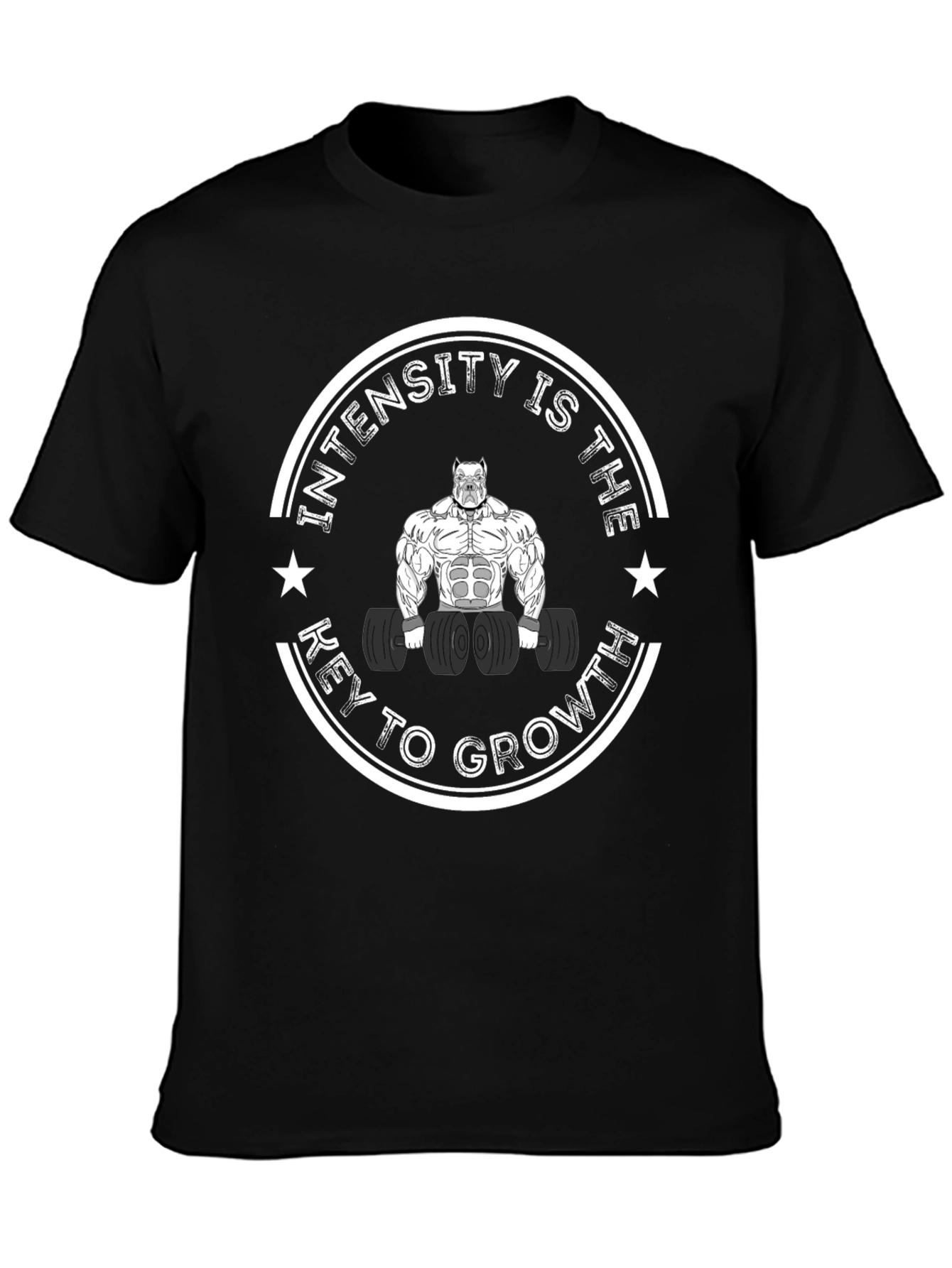 Intensity is Key T-Shirt - Mens Fitness Apparel